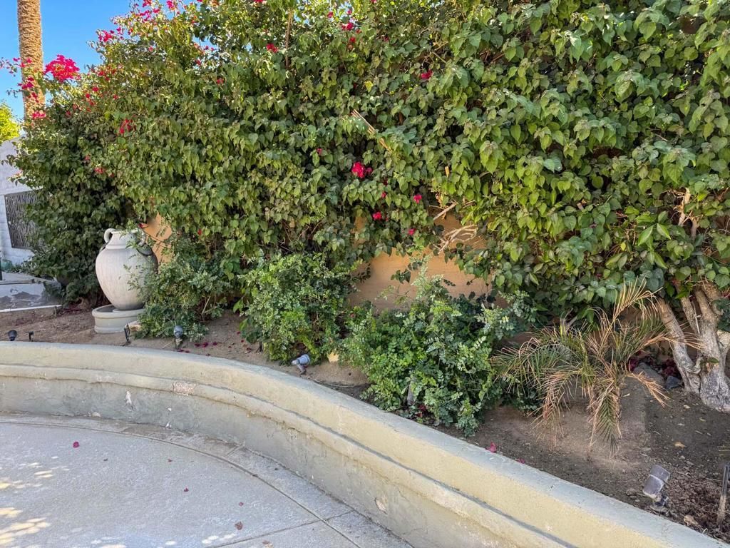 MLS #219127218DA image #0