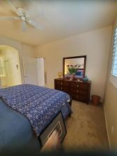 MLS #219128224DA image #0