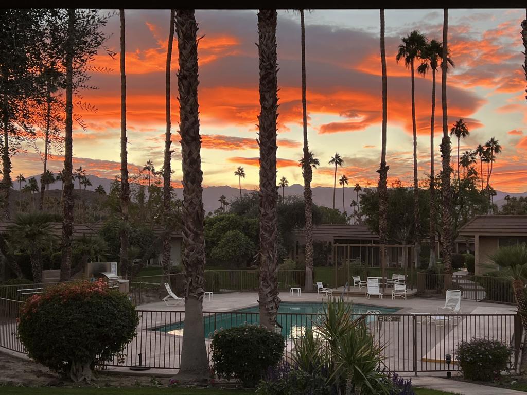 MLS #219128369DA image #0
