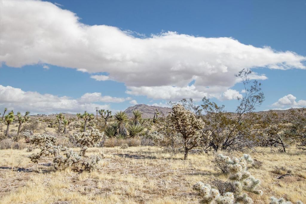 MLS #219130826PS image #0