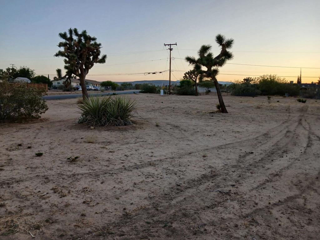 MLS #219131236DA image #0