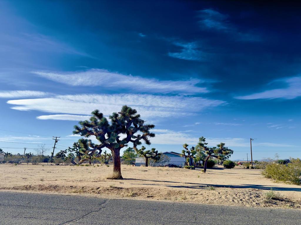 MLS #219131236DA image #0