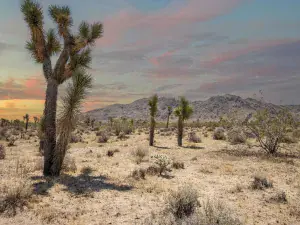 broker reciprocity