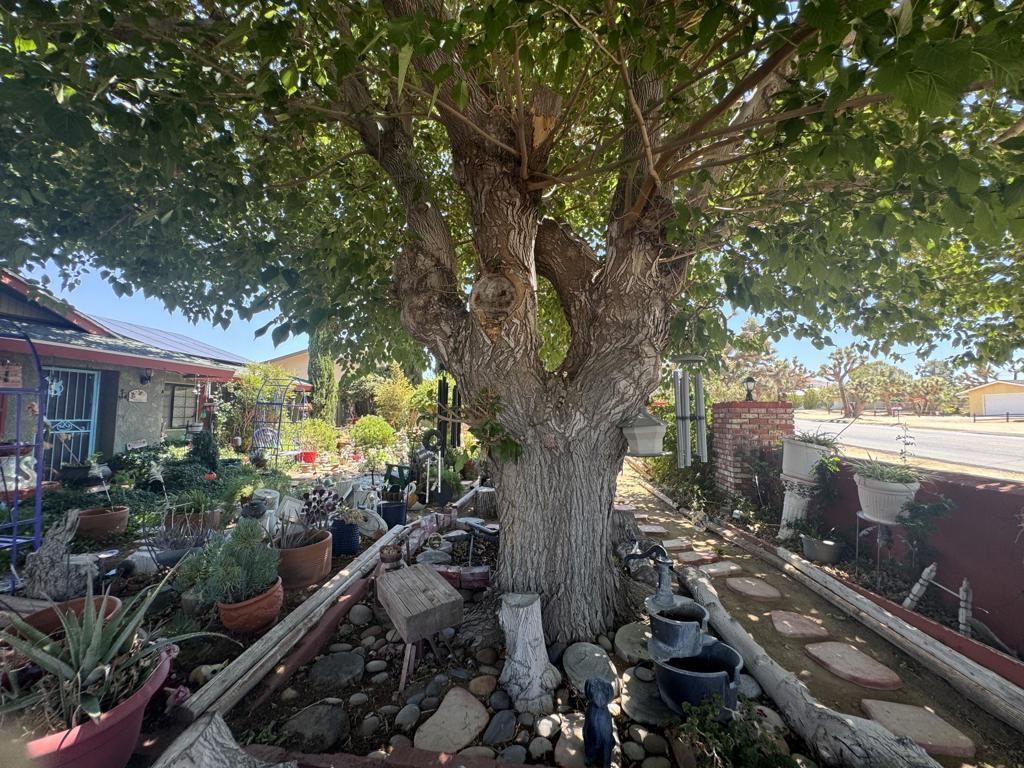 MLS #219131719DA image #0