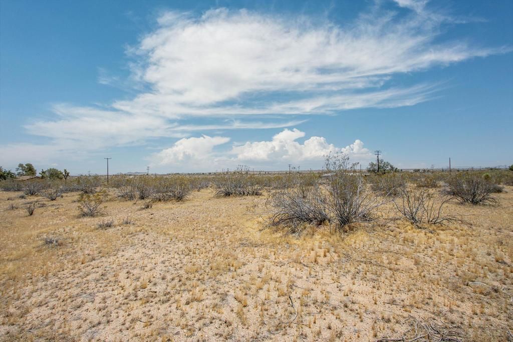 MLS #219132429PS image #0
