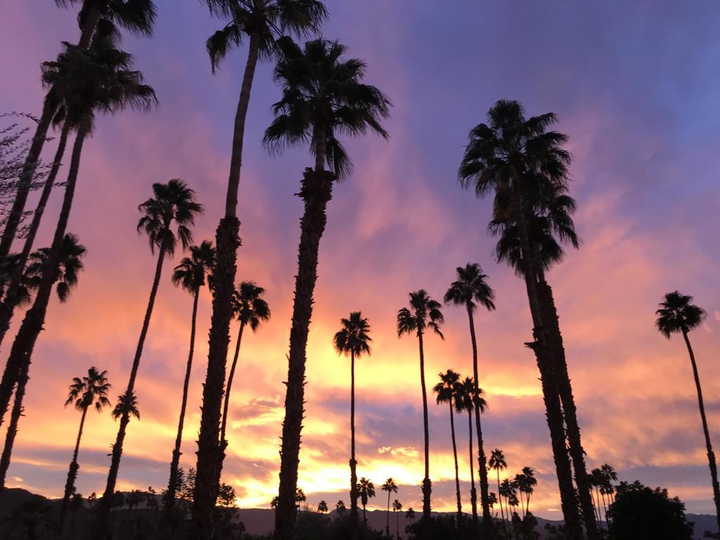 MLS #219134447DA image #0