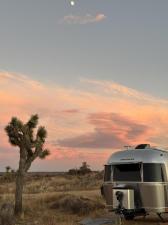 MLS #219137921DA image #0