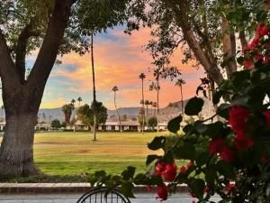 MLS #219138467DA image #0