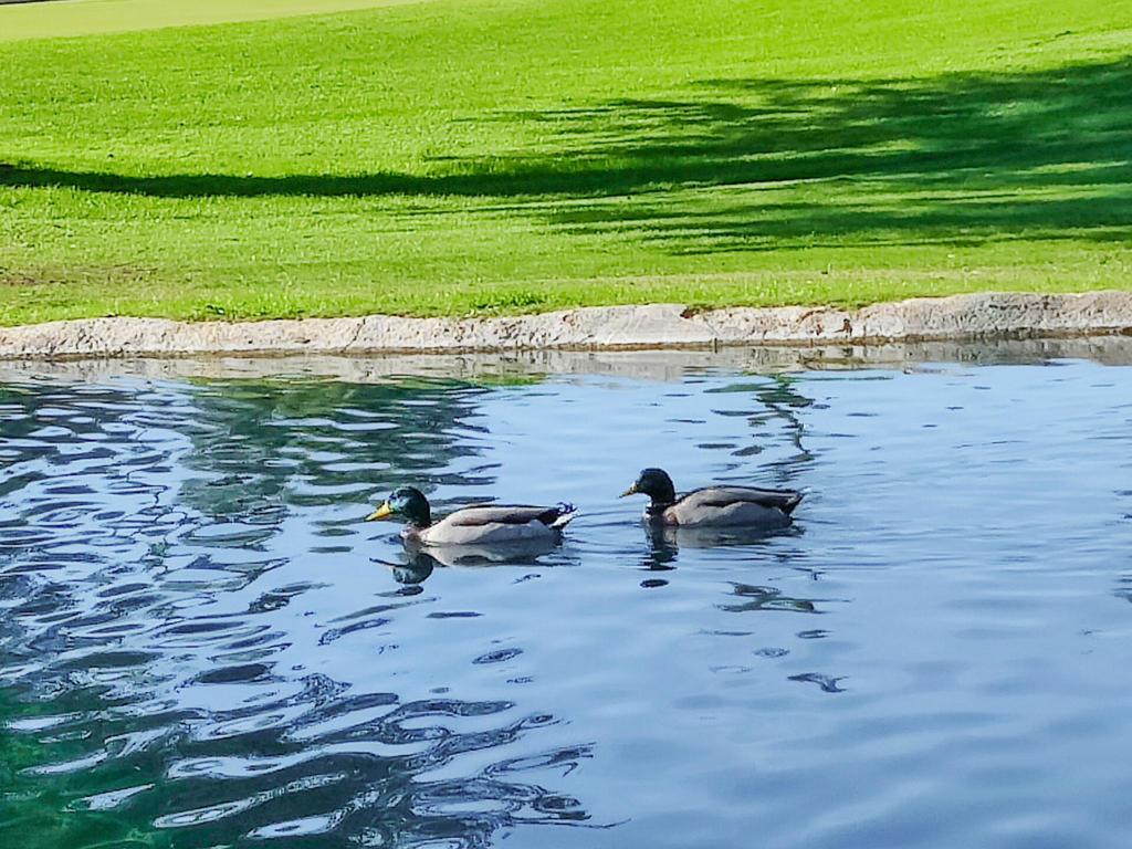 MLS #219139246DA image #0