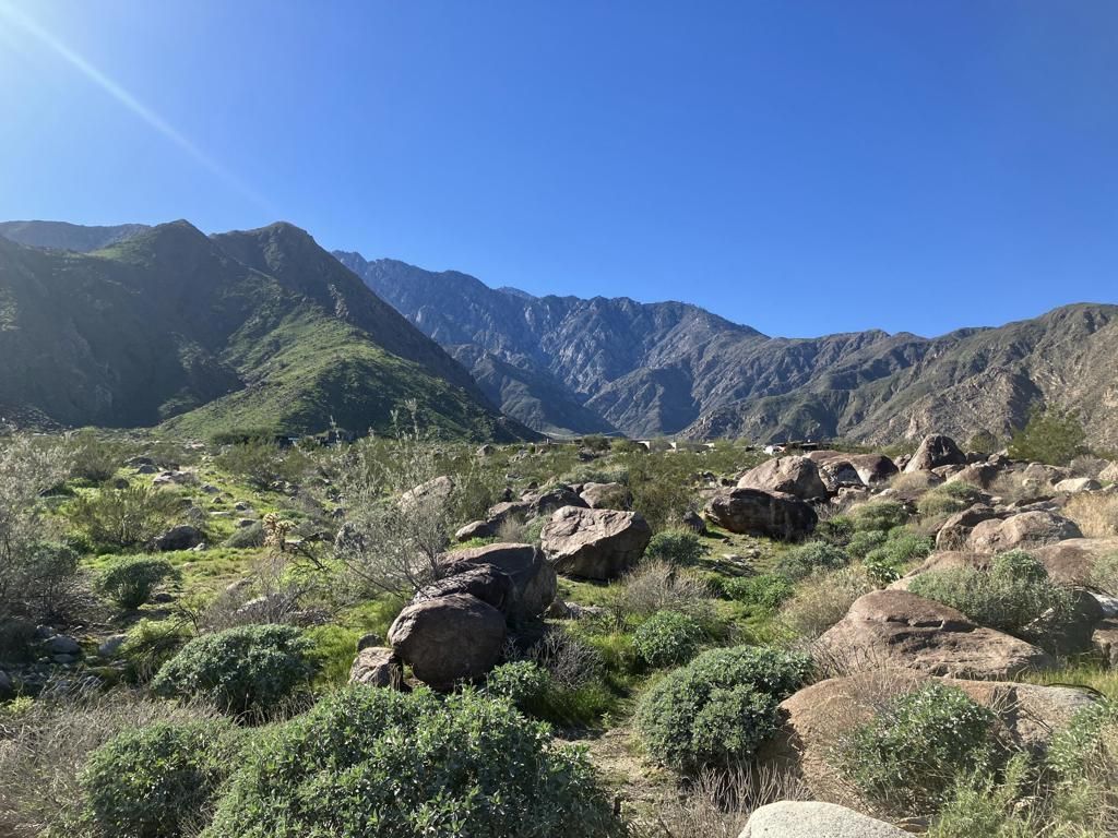 MLS #219141296PS image #0