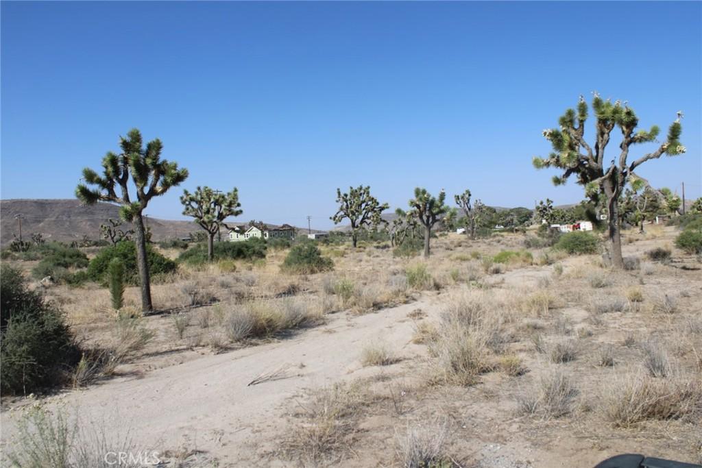 MLS #CV25150716 image #0