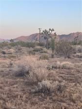 MLS #DW25084903 image #0