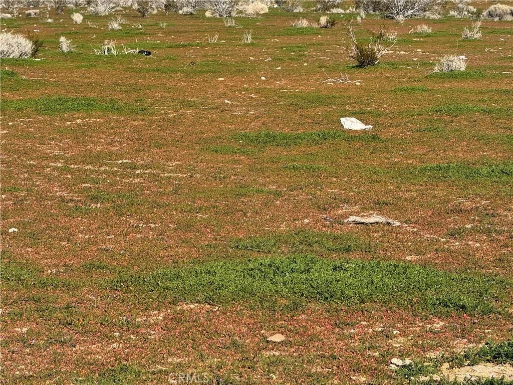 MLS #HD26011909 image #0