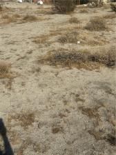 MLS #IV25130039 image #0