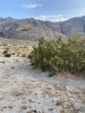 MLS #IV25085684 image #0