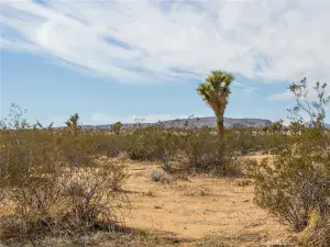 broker reciprocity