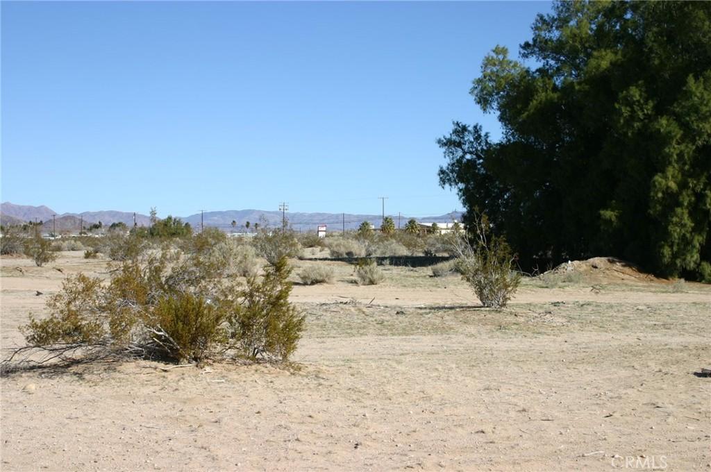 MLS #JT24003463 image #0