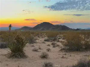 broker reciprocity
