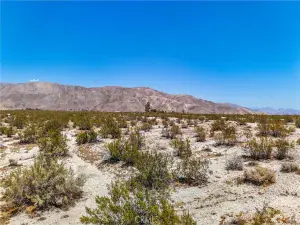 broker reciprocity
