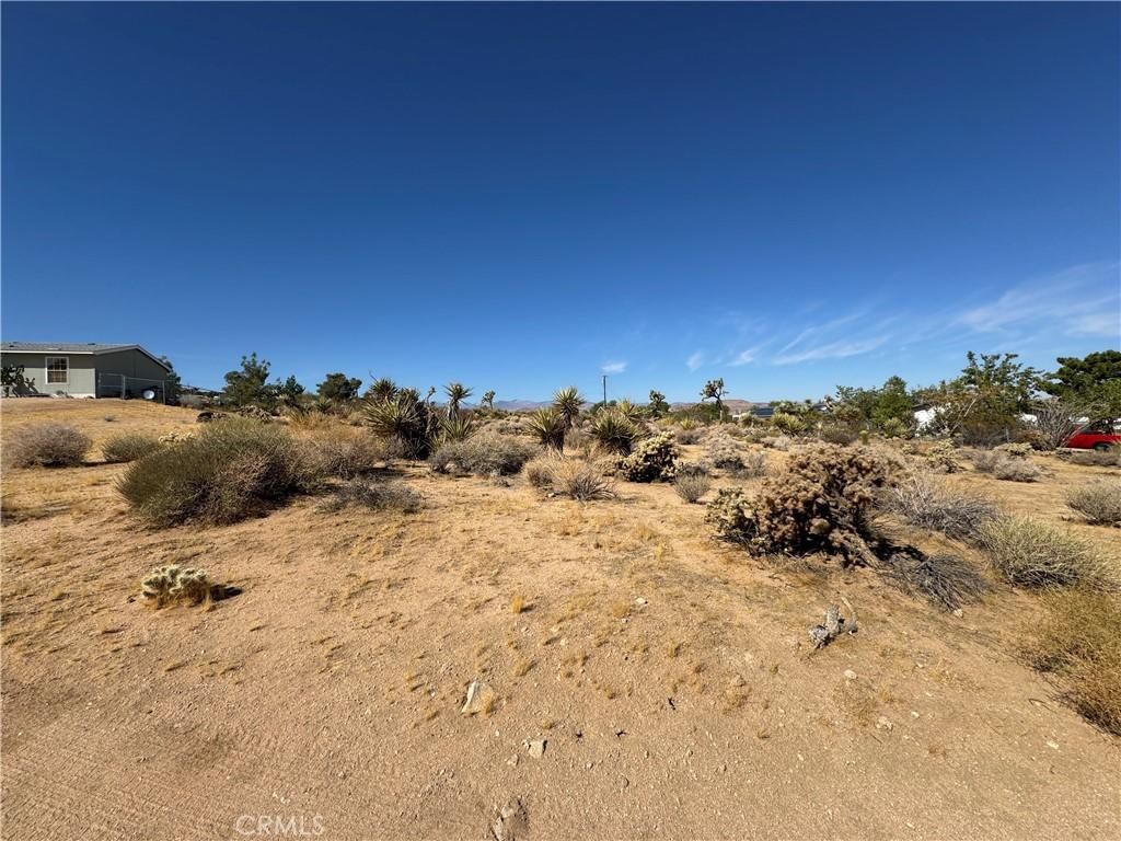 MLS #JT24214164 image #0