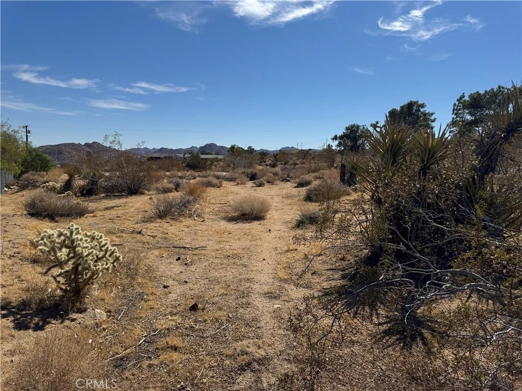 MLS #JT24214179 image #0