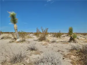 broker reciprocity
