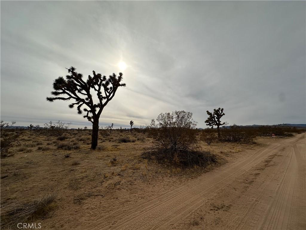 MLS #JT24248906 image #0