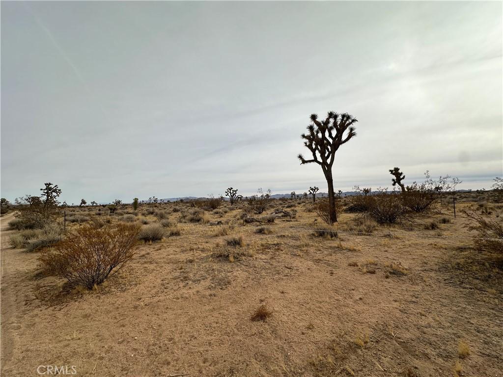 MLS #JT24249024 image #0