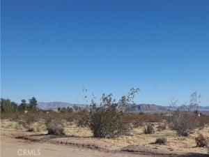 MLS #JT25021399 image #0