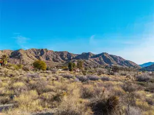 broker reciprocity