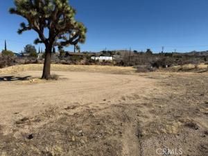 MLS #JT25042462 image #0