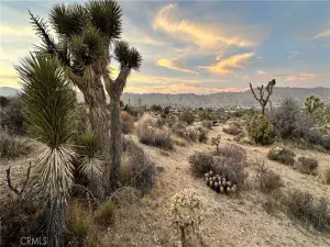 broker reciprocity
