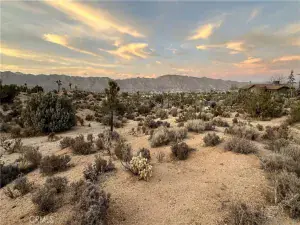 broker reciprocity