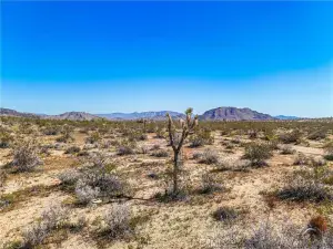 broker reciprocity