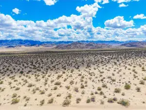 broker reciprocity