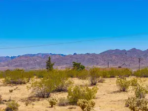 broker reciprocity