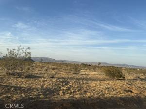 MLS #JT25095852 image #0