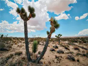 broker reciprocity