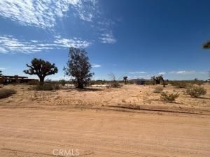 MLS #JT25102656 image #0