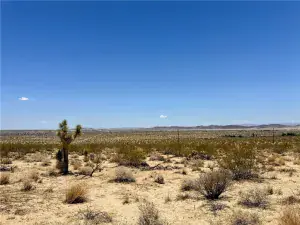 broker reciprocity