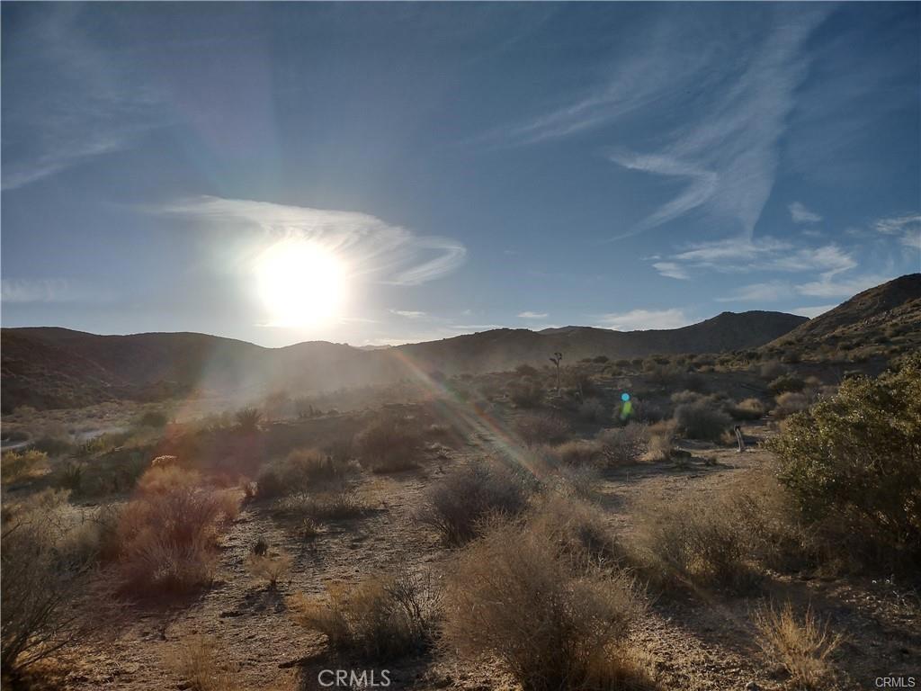 MLS #JT25138582 image #0