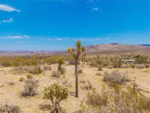 broker reciprocity