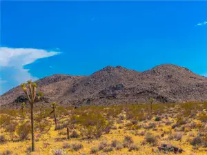 broker reciprocity