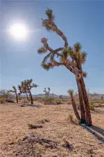 broker reciprocity