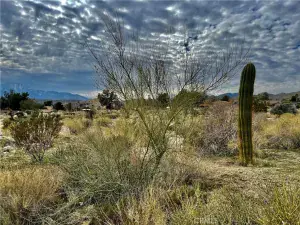 broker reciprocity