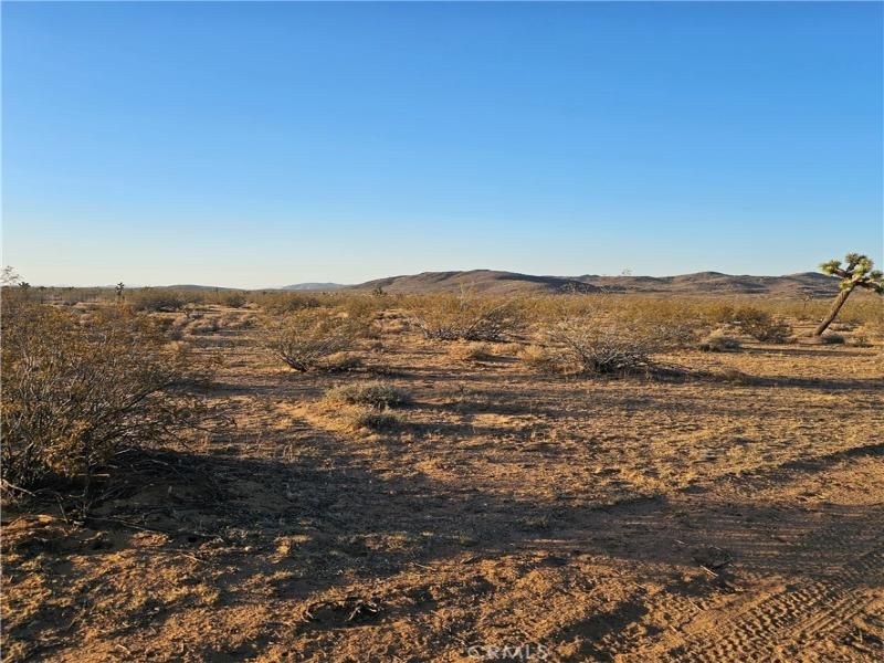 MLS #JT25169268 image #0