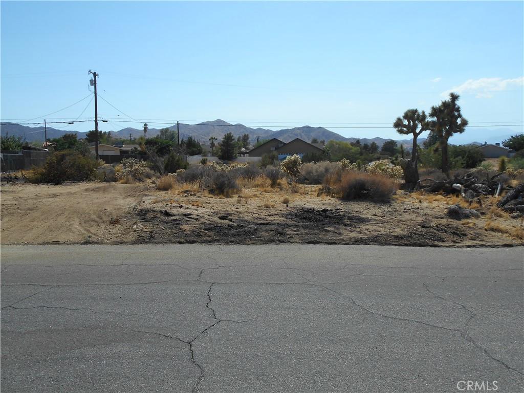 MLS #JT25181144 image #0