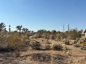 MLS #JT25181795 image #0