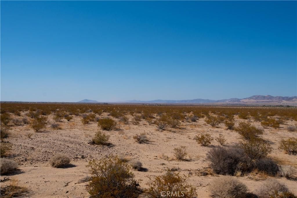 MLS #JT25185156 image #0