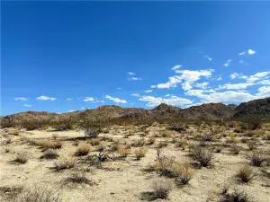 broker reciprocity